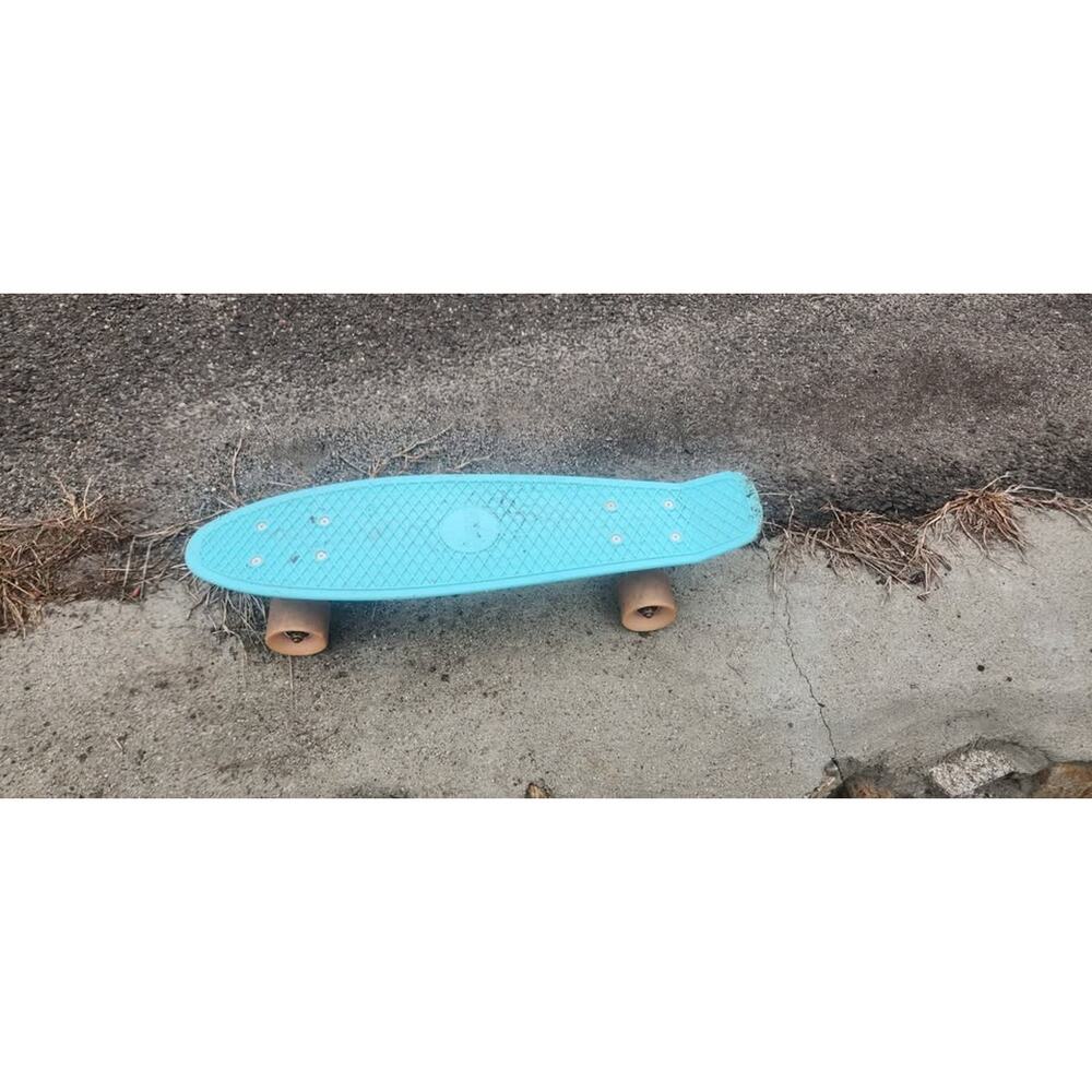 Penny skate board